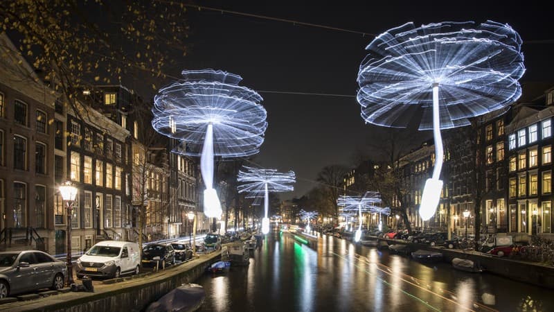 Perfect for Everyone